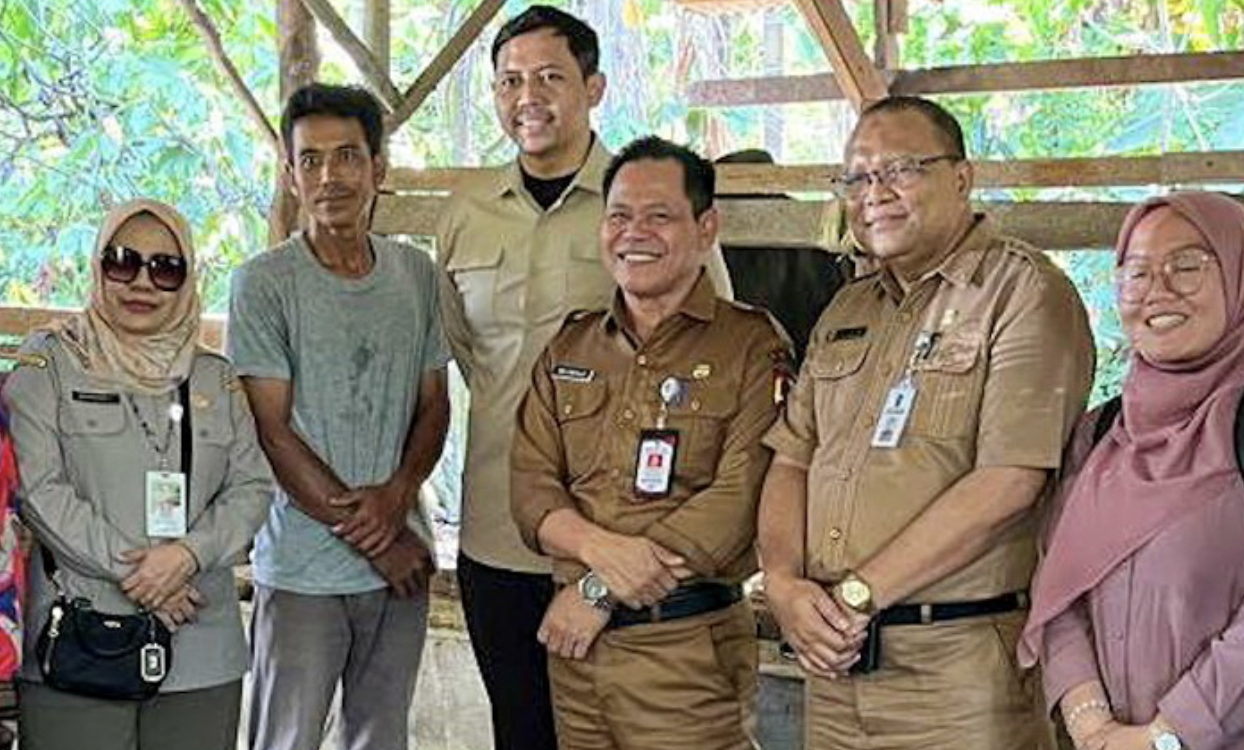 Jelang Iduladha, Sapi Kurban Presiden Prabowo di Pekanbaru Jalani Perawatan Khusus