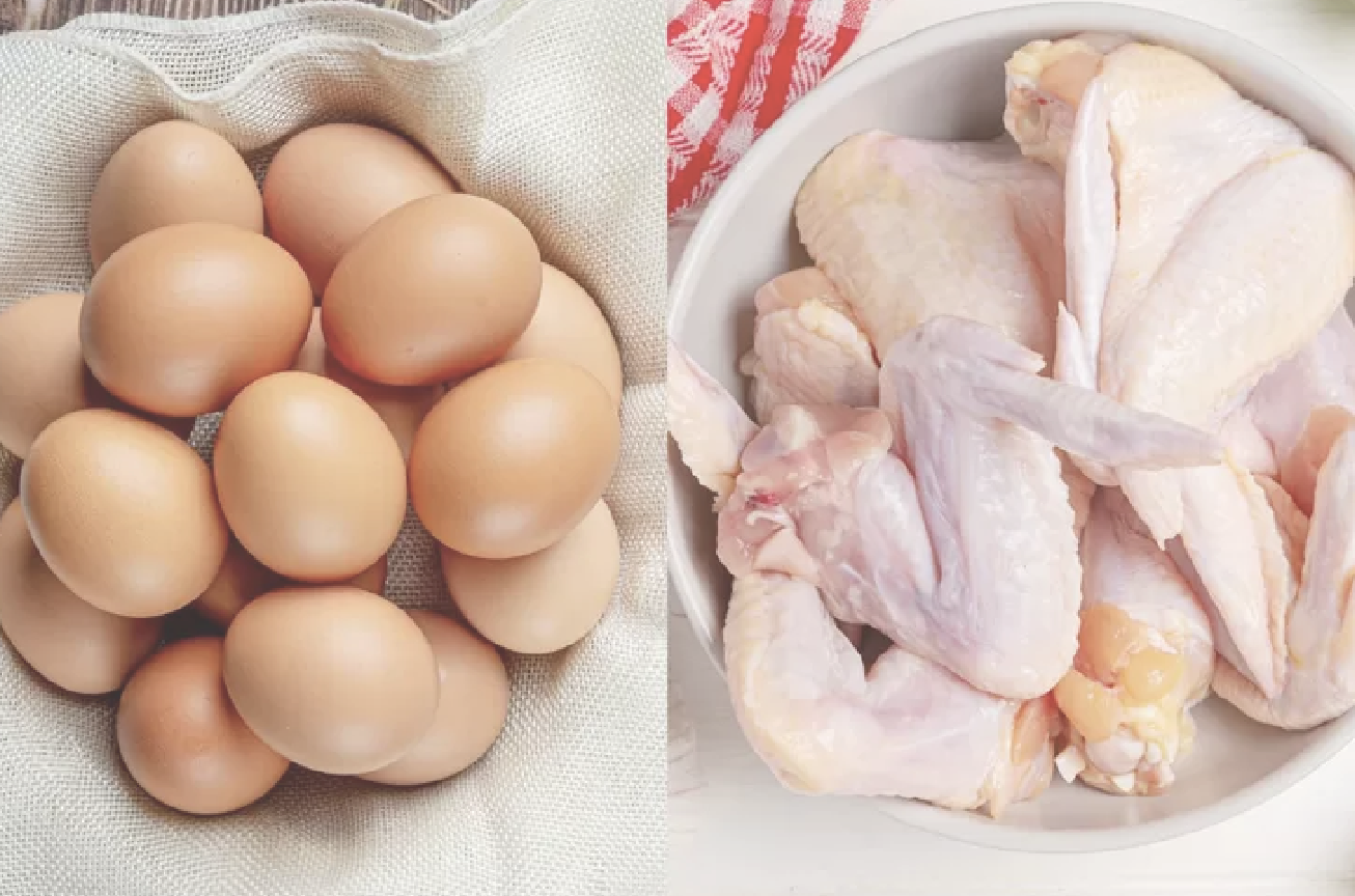 Bapanas: Produksi telur dan daging ayam surplus