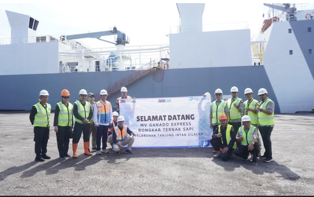1.213 Sapi Perah Impor Tiba, Pemerintah Dorong Kemandirian Industri Susu