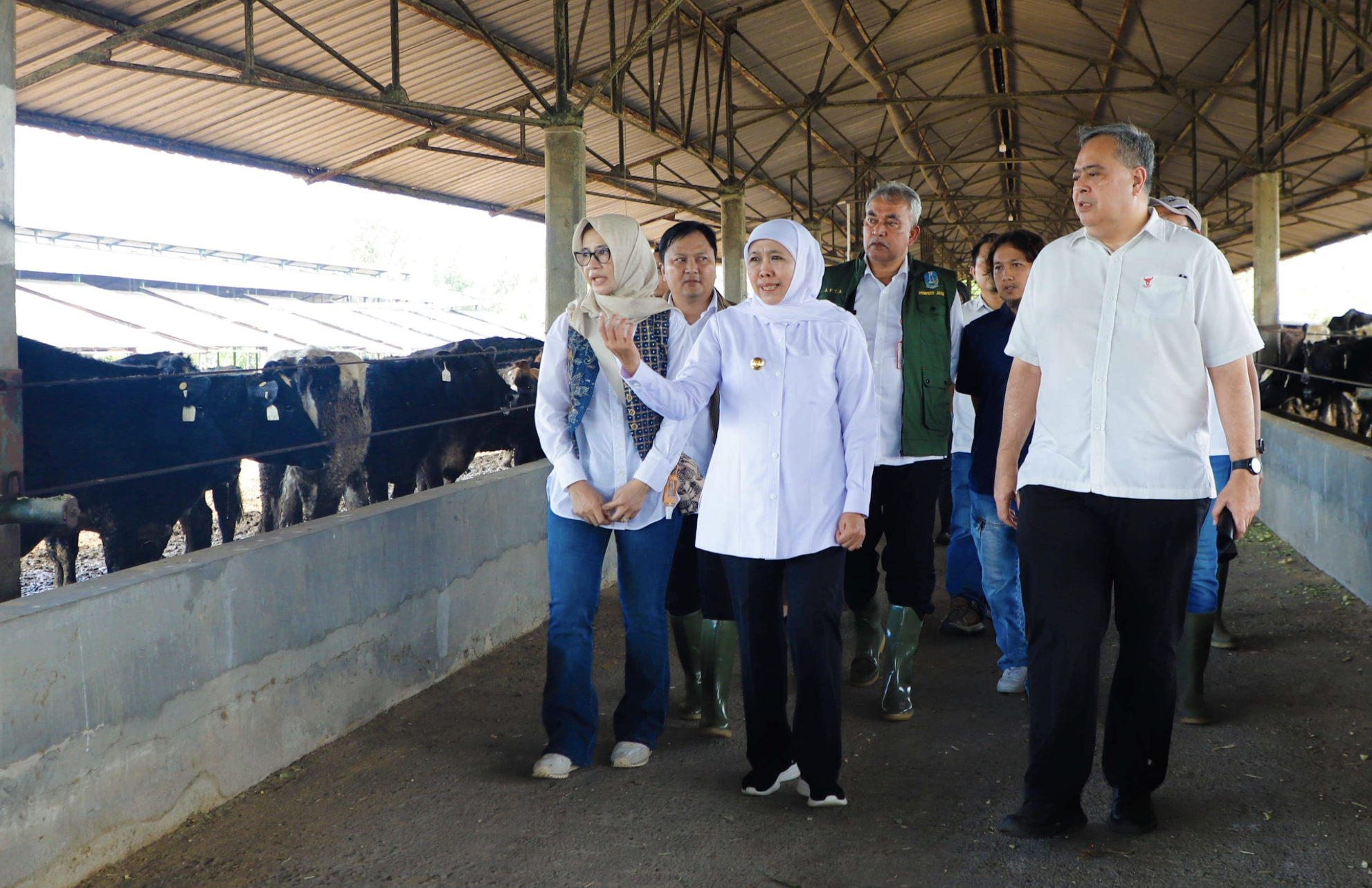 Gandeng Swasta, Pemerintah Genjot Produksi Susu