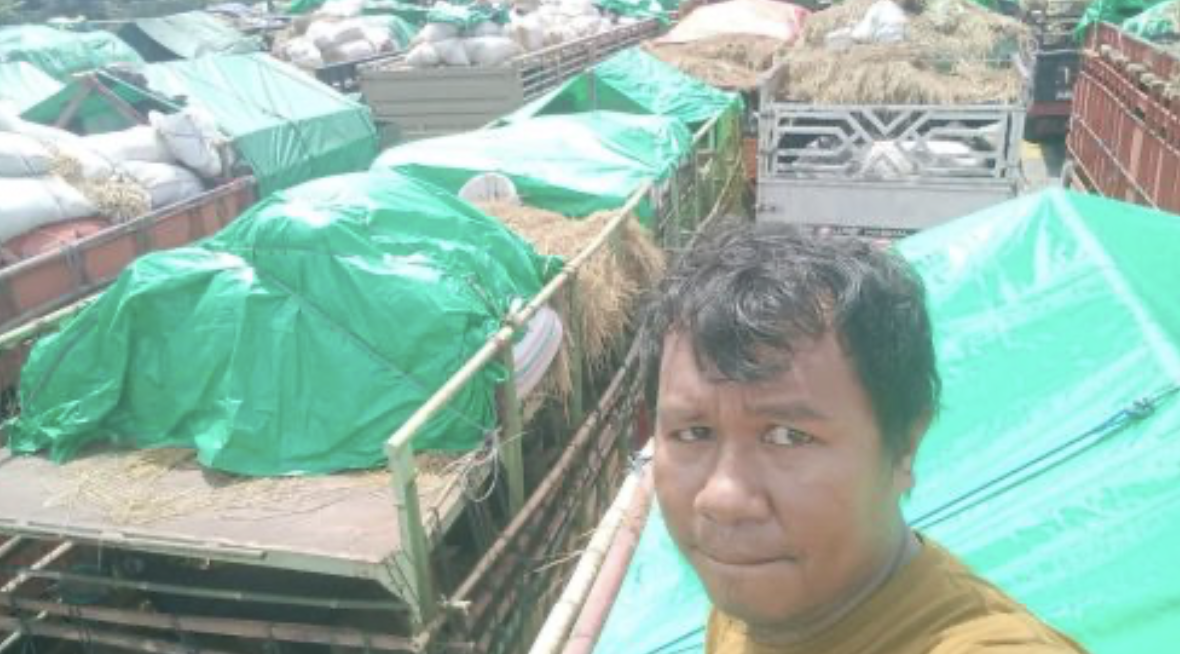 Peternak Sapi Bima Minta Pemprov dan Pemda Bantu Truk Angkut Pakan Sapi di Gili Mas