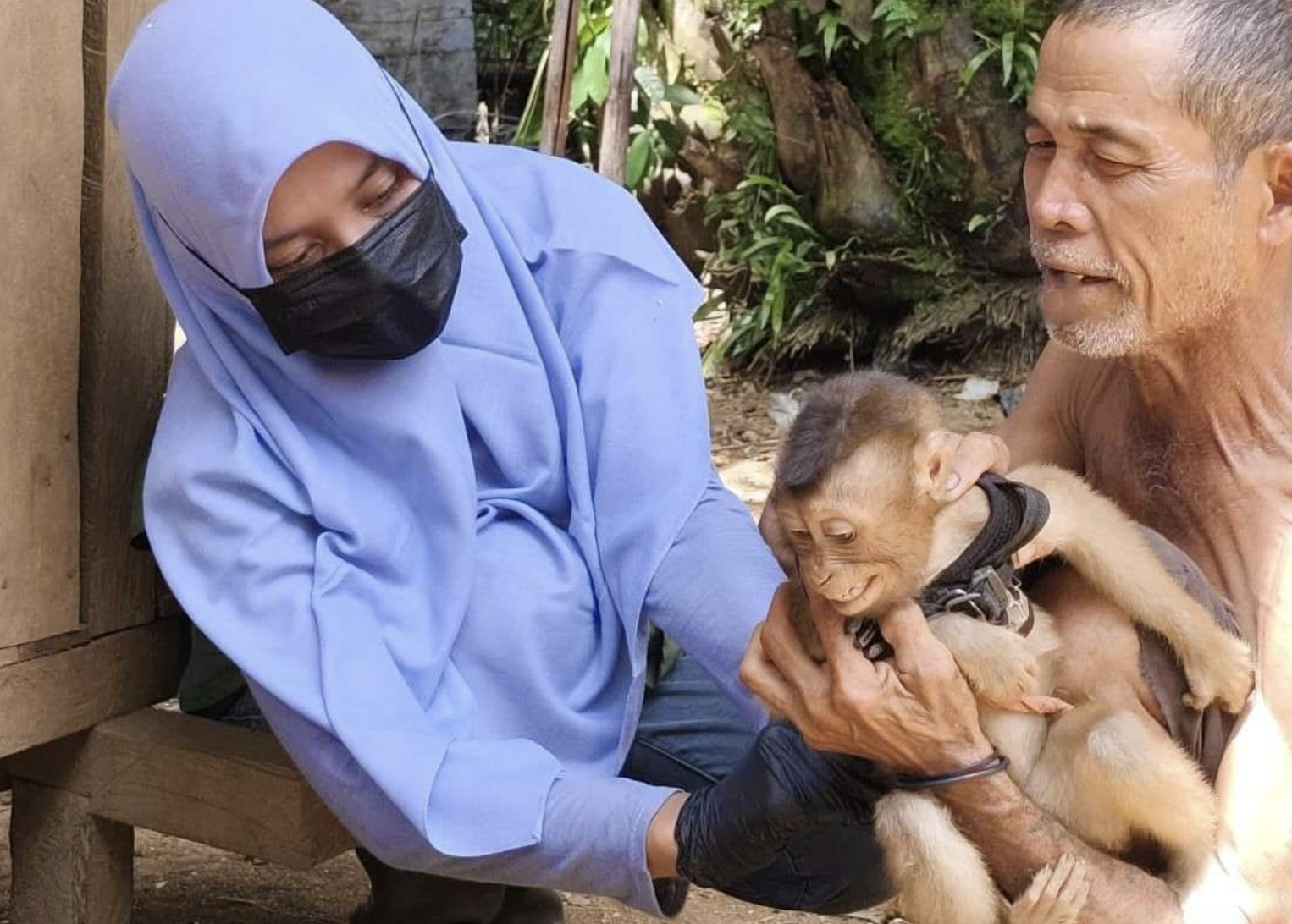 Kasus Gigitan Hewan Tinggi, Disbunnak Sanggau Gencarkan Vaksinasi