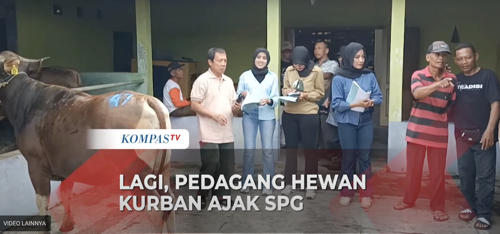 Dagang Hewan Kurban Ajak SPG Bikin Naik Omzet, Pedagang: Kami Tidak Cuma Jualan