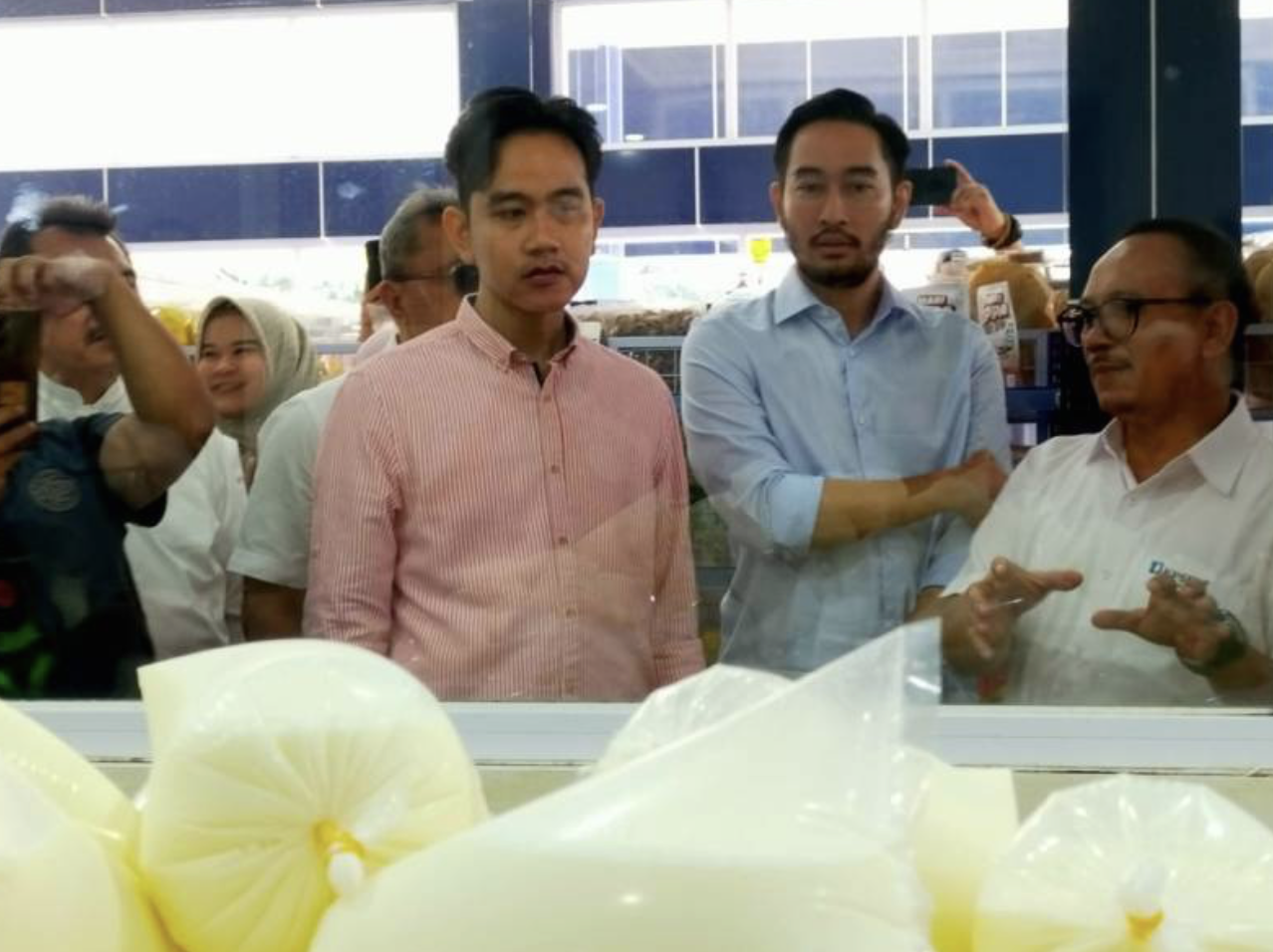 Peternak Bandung Utara Kembangkan Produksi Susu dengan Sapi Simmental, KPSBU Lembang Tegaskan Larangan Kawin Silang