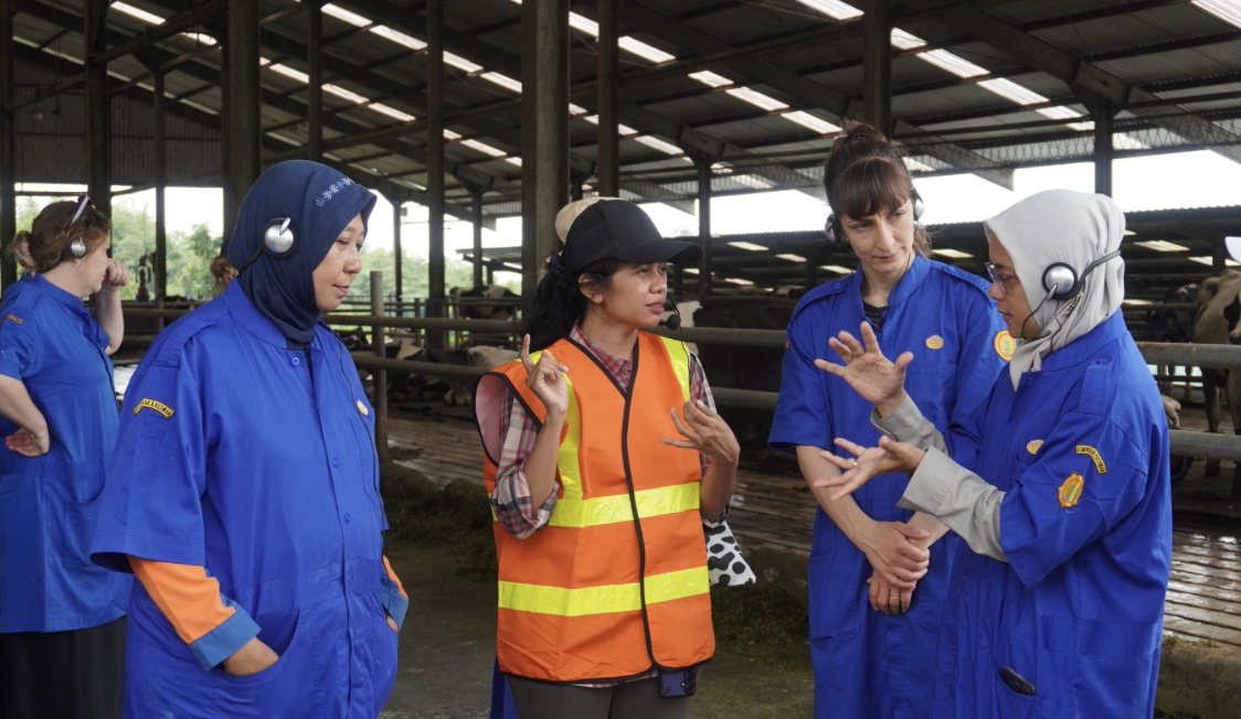 Kementan Siapkan Model Peternakan Ramah Lingkungan, Baturraden Jadi Laboratorium Susu Organik
