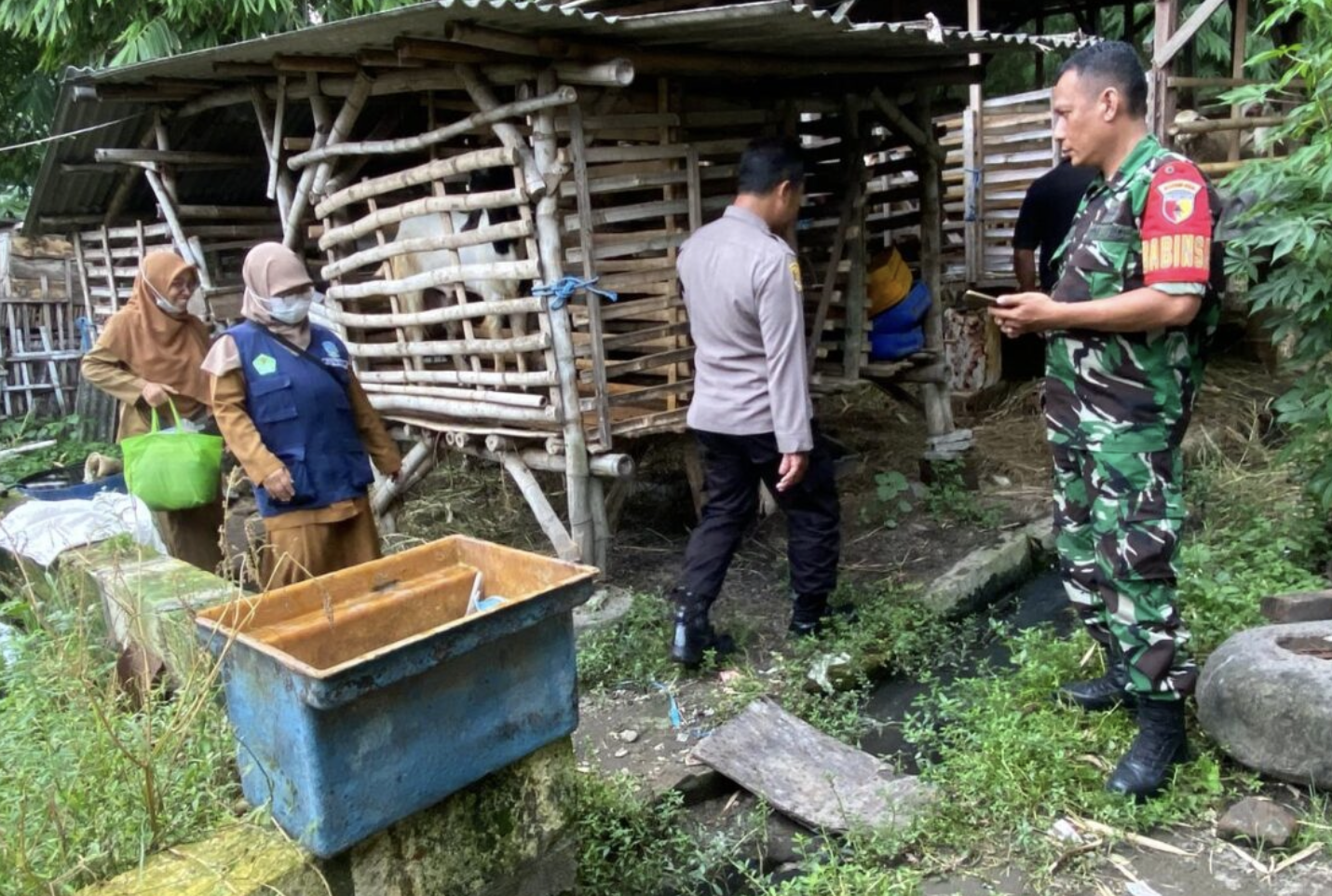 Menjelang Hari Raya Idul Adha 3 Pilar Tinjau Kesehatan Hewan Kurban Perkuat Ketahanan Pangan