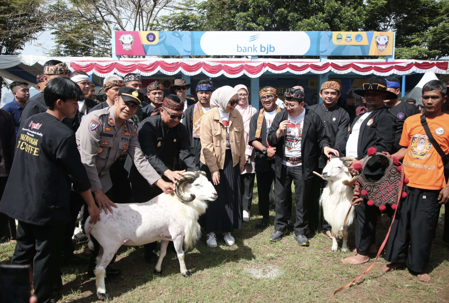 Adu Ketangkasan Domba, Ditjen PKH : Sesuai Amanat Kementan