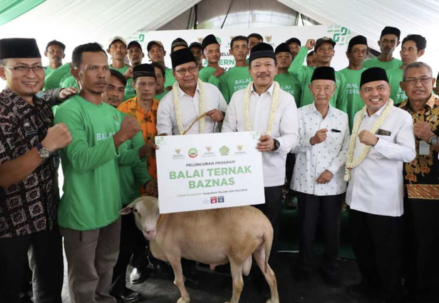 Tingkatkan Kesejahteraan Peternak Kecil Lewat Pendekatan Perbibitan dan Penggemukan Ternak