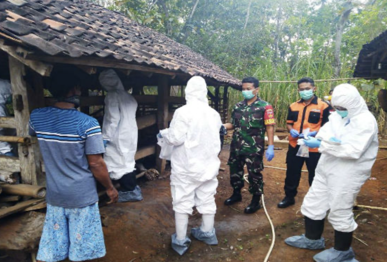 Kementan Terjunkan Tim Tangani Antraks di Gunungkidul