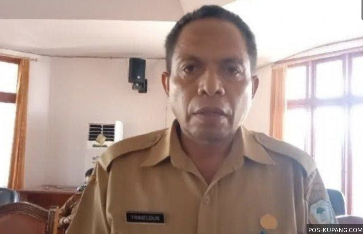 ASF Serang 4 Kecamatan di Kabupaten Timor Tengah Utara NTT