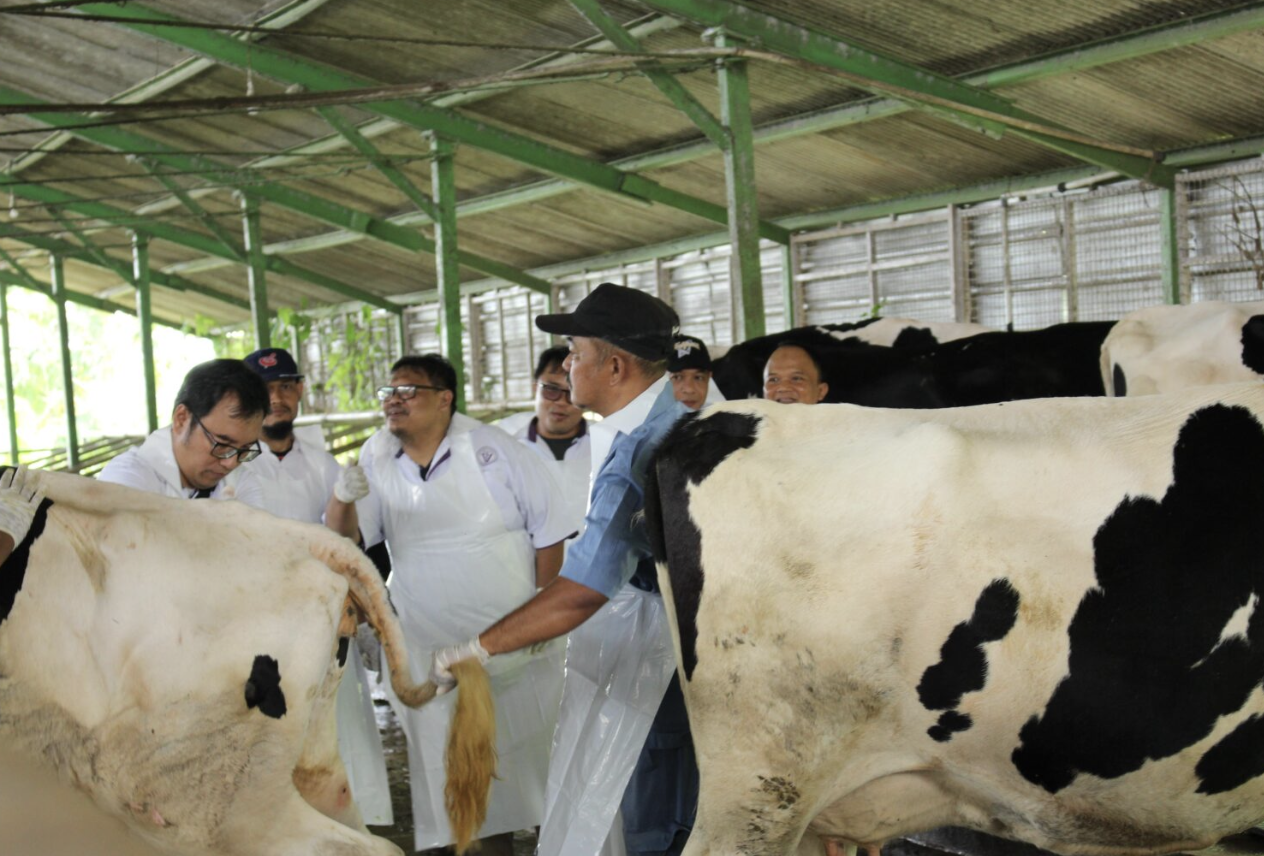 Kementan Telah Gelontorkan Rp 104 Miliar untuk 4 Juta Vaksin PMK