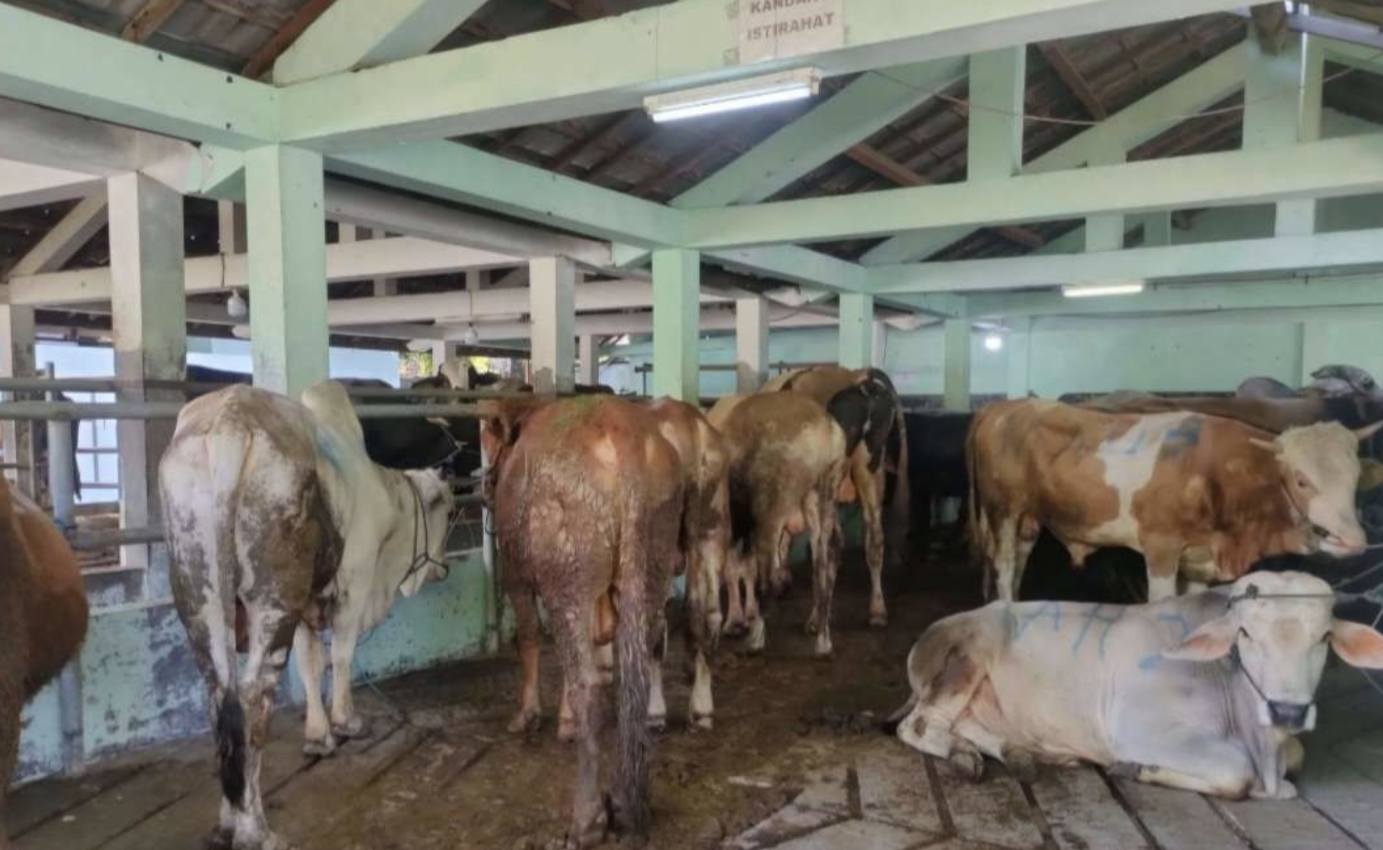 Pemkot Yogyakarta Tingkatkan Kewaspadaan Penyebaran Antraks