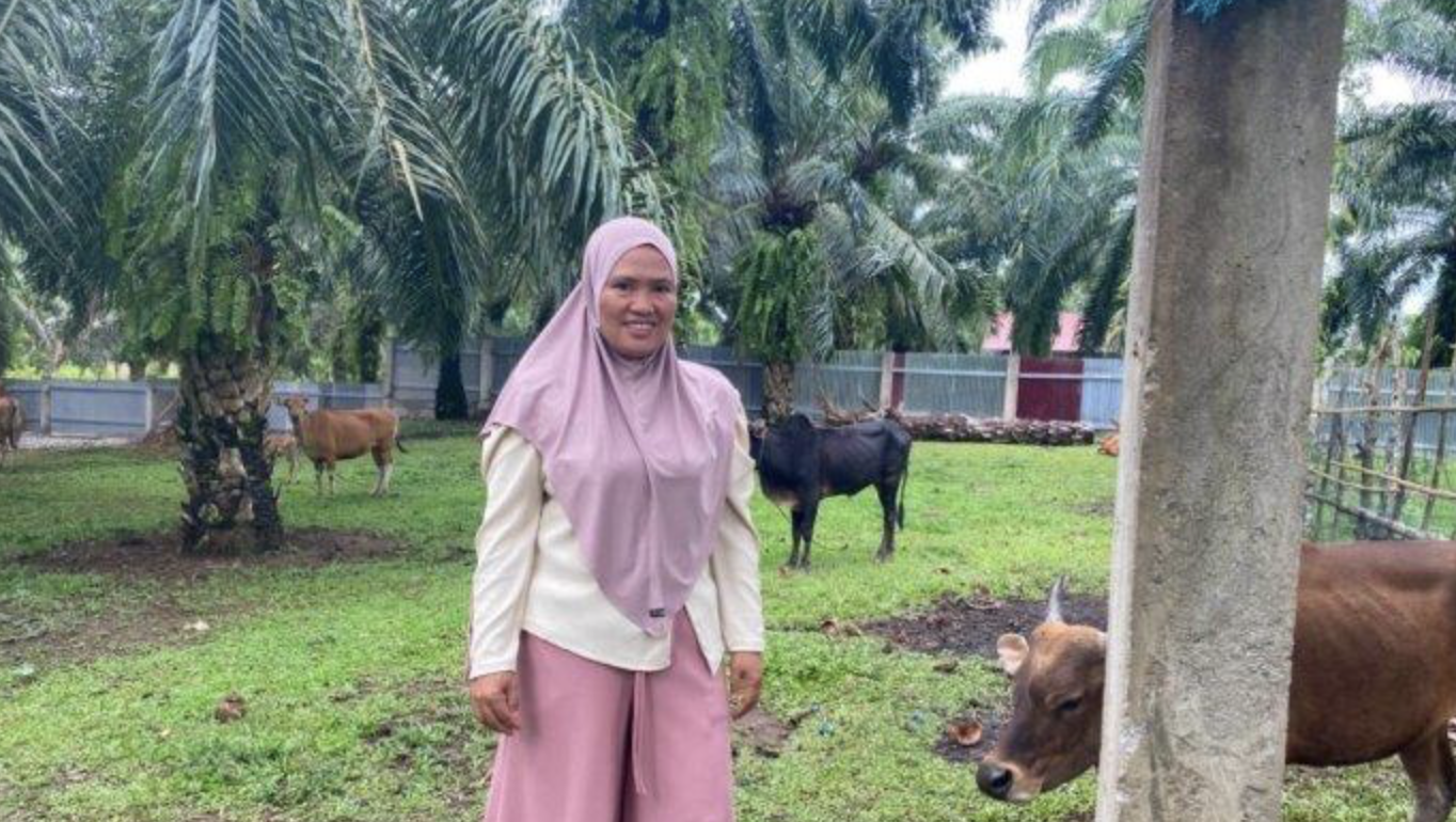 Wabah PMK Masuk Bengkulu Selatan, Peternak Sapi Was-Was Ternak Sehat Terpapar