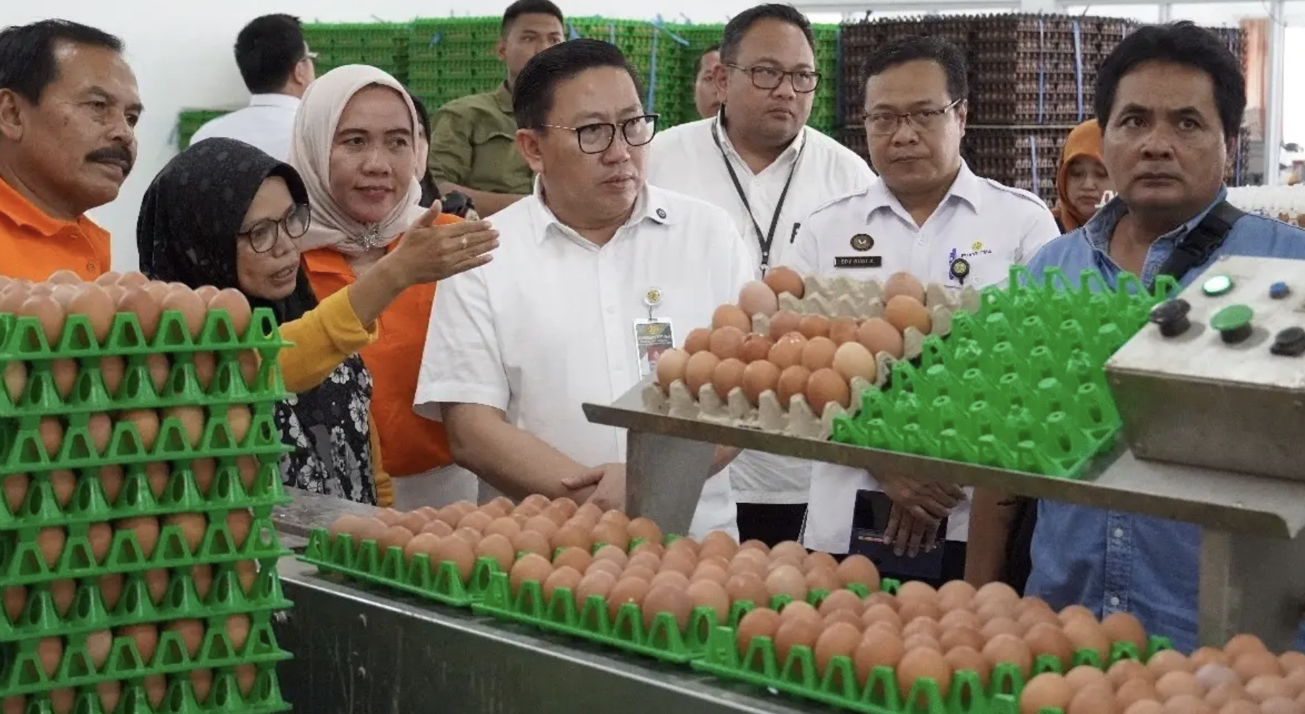 Terbesar Ketiga di Dunia, Produksi Telur RI Berpotensi Capai 6,52 Juta Ton