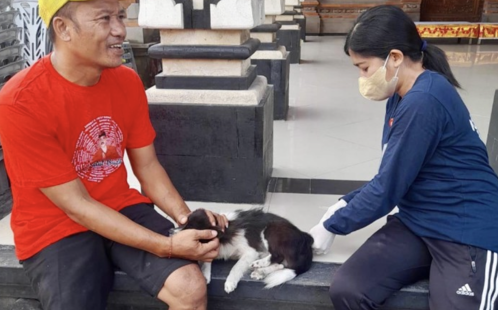 Distan Denpasar Gelar Vaksinasi Rabies Door To Door