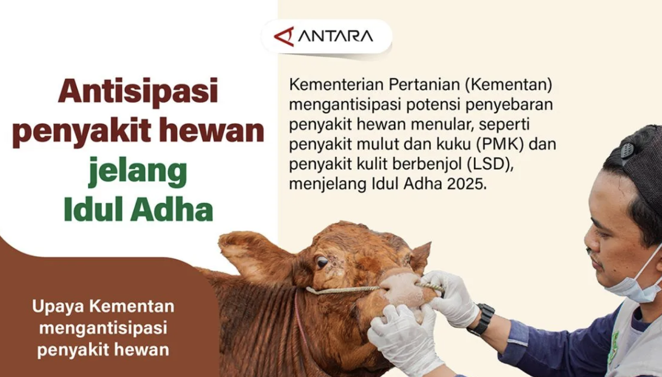 Antisipasi penyakit hewan jelang Idul Adha