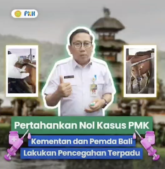 Kegiatan Vaksinasi PMK Ditjen PKH  Bali 