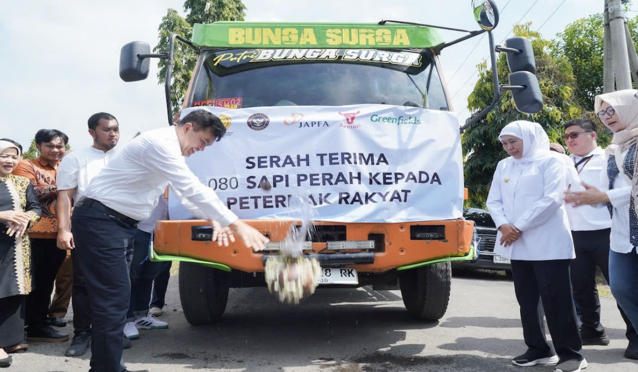 1.080 Sapi Perah Impor Masuk Jatim, Dorong Swasembada Susu Nasional
