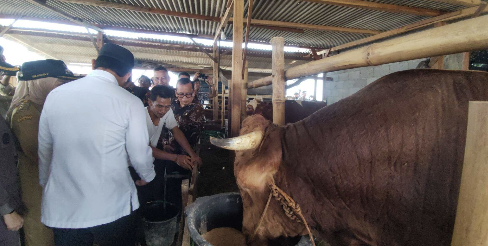 Pemkab Kendal Pastikan Hewan Kurban Bebas PMK