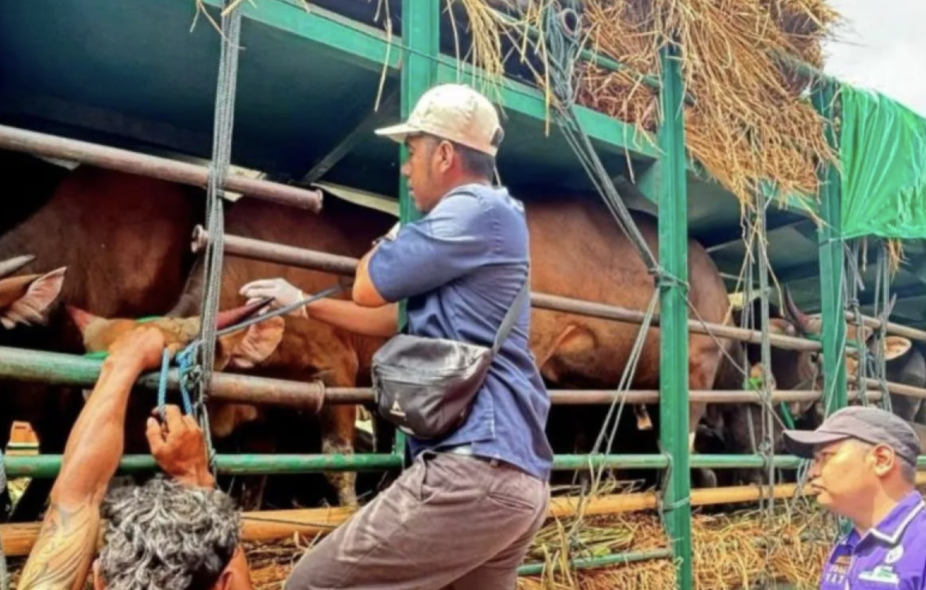 Balai Karantina NTB perketat pengawasan lalu lintas sapi kurban
