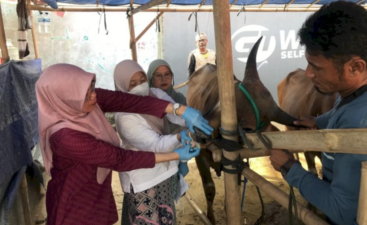 Tim Gabungan DKPP Bakal Periksa Kesehatan Hewan Kurban