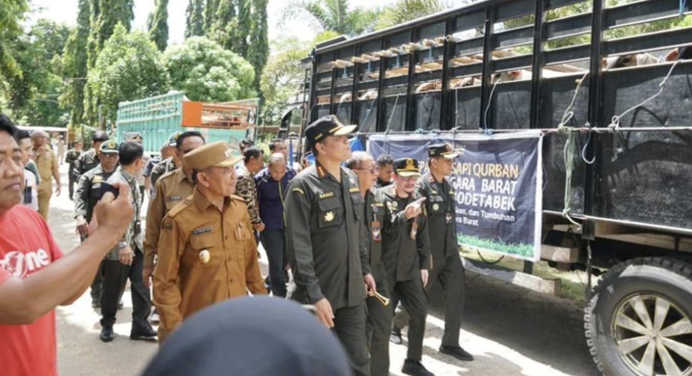 22.989 Hewan Ternak dari NTB Dikirim ke Luar Daerah, Semua Sehat
