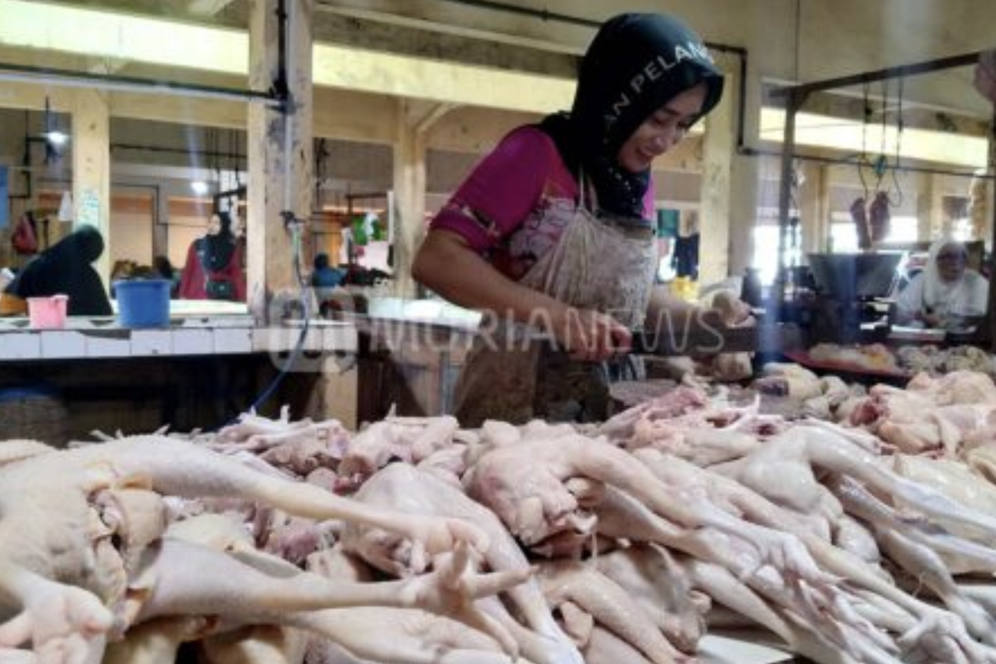 Kementan Sebut Indonesia Surplus Daging Ayam dan Telur
