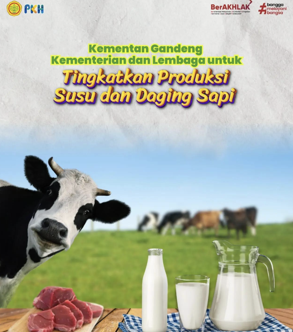 Kementan Gandeng K/L untuk Tingkatkan Produksi Susu dan Daging sapi
