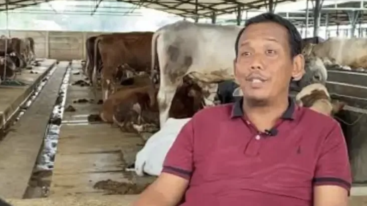 Yang Lain Cari Kerja, Saya Cari Rumput, Sekarang Punya Aset Rp 80 Miliar