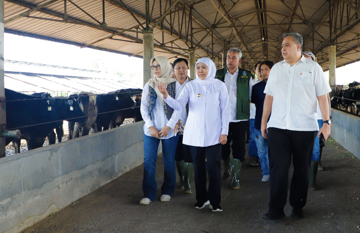 Gandeng Swasta, Pemerintah Genjot Produksi Susu
