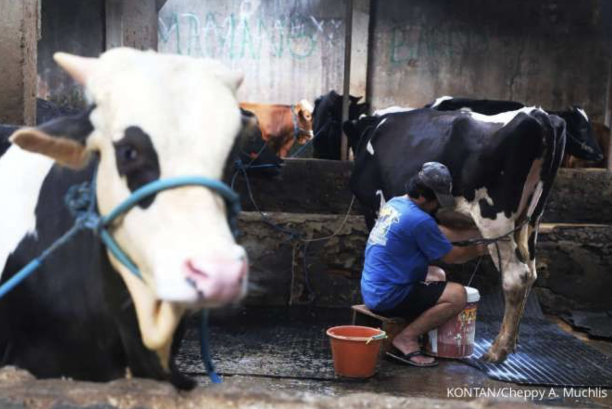 Dorong Swasembada Pangan, Kementan Pastikan Inpres P2SDN Sudah Dirancang