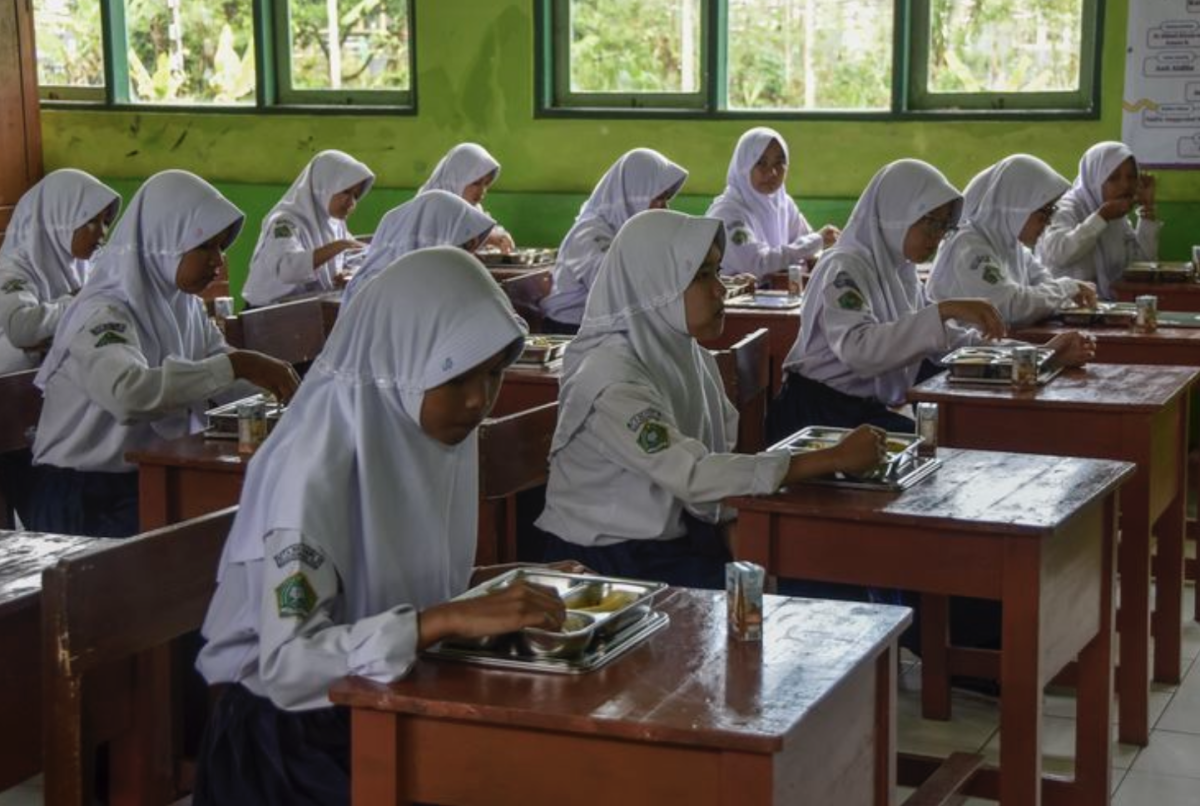 Target 8.000 Dapur MBG, Kementan Siapkan Lonjakan Produksi Ayam dan Telur