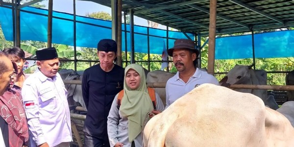 Pendistribusian Bantuan Berupa Ternak Indukan Sapi Potong Lokal di Kota Bogor T.A 2023