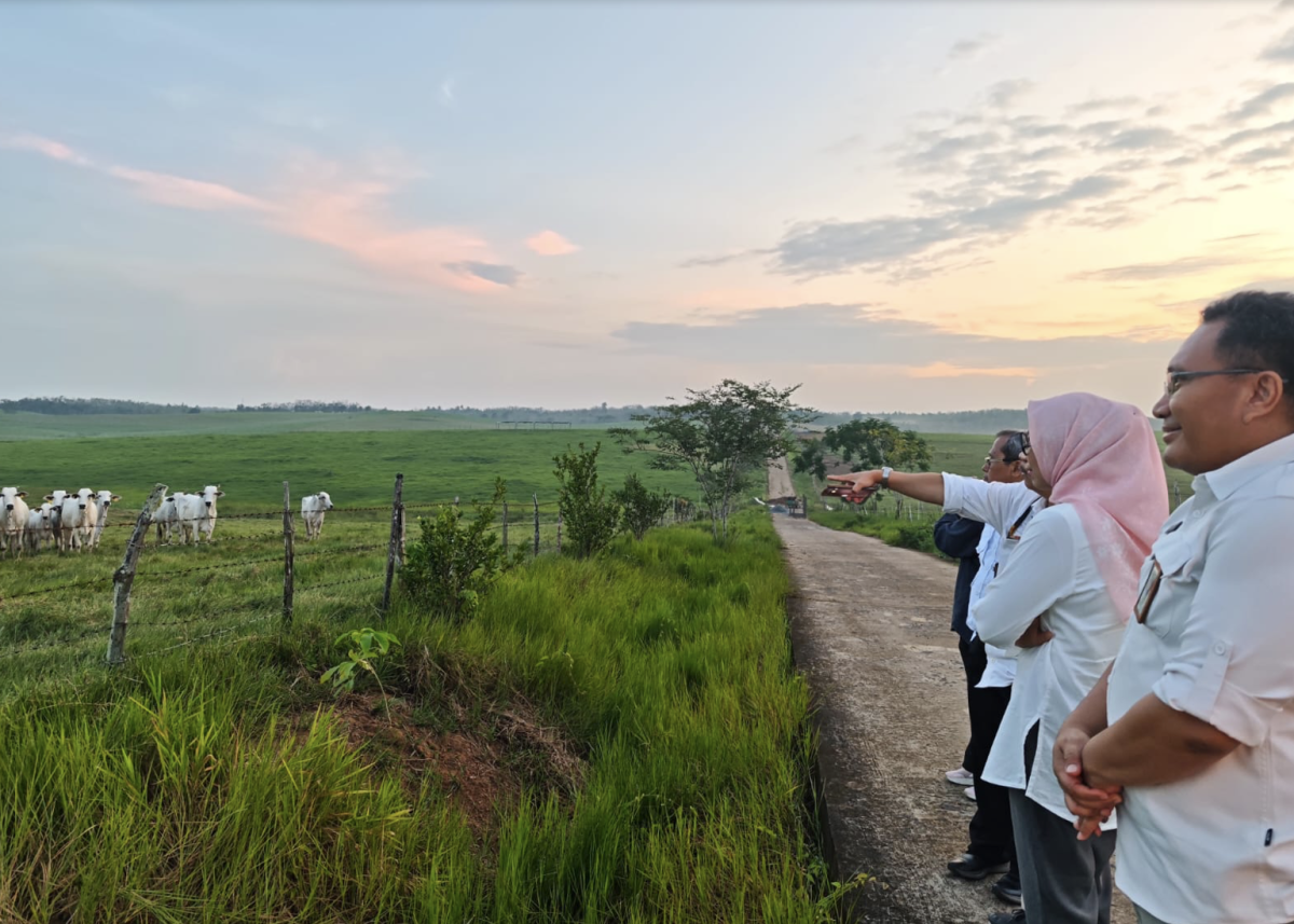 Pengembangan SDM Peternakan Berbasis Teknologi di Sembawa