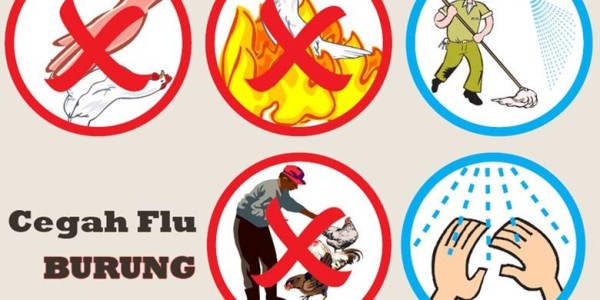 Cara Praktis Mencegah Penyebaran Virus Flu Burung