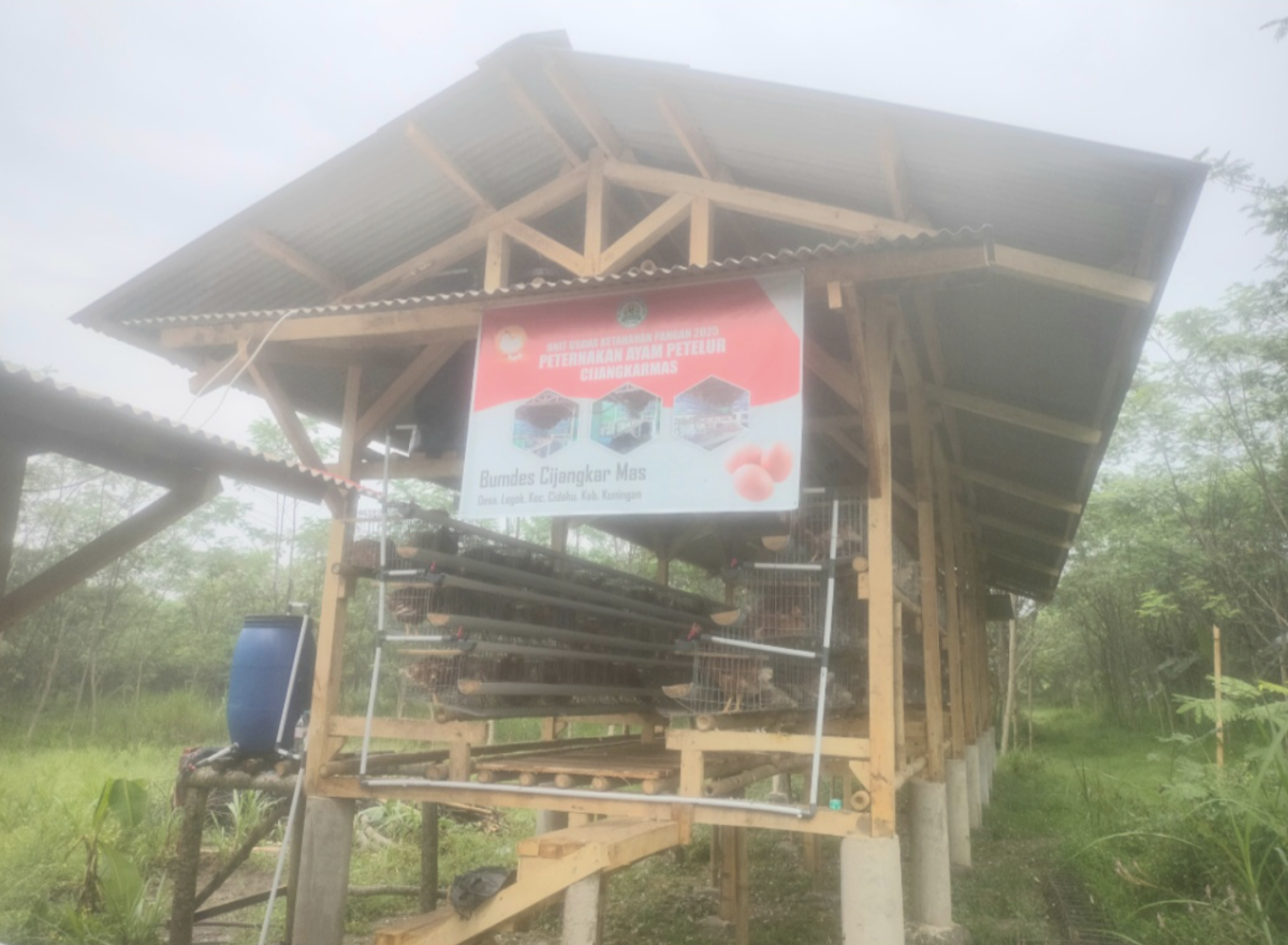 Ternak Ayam Petelur, Pengurus Bumdes Desa Legok Realisasi Program Ketahanan Pangan