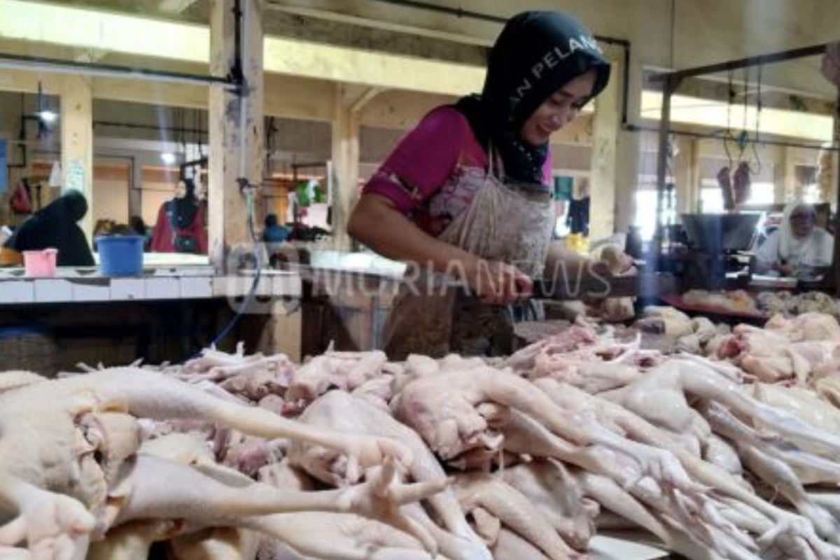 Kementan Sebut Indonesia Surplus Daging Ayam dan Telur