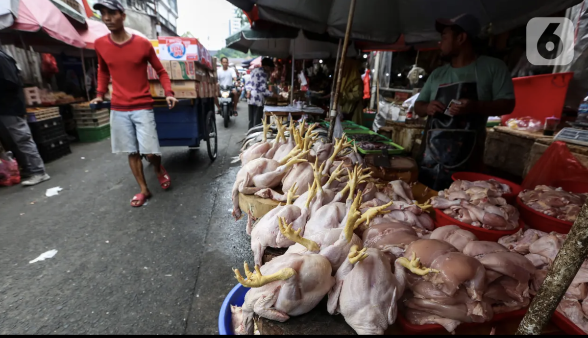 Indonesia Akhirnya Swasembada Daging dan Telur Ayam