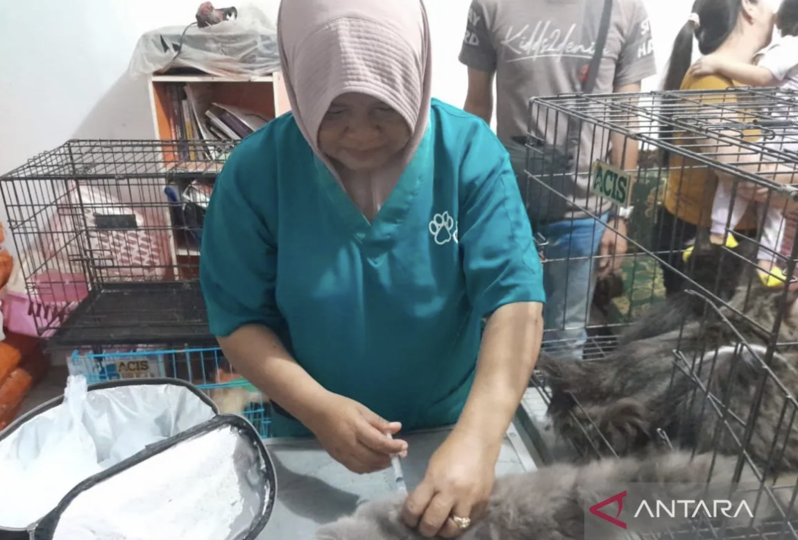 Realisasi vaksinasi rabies di Mukomuko capai 50 persen