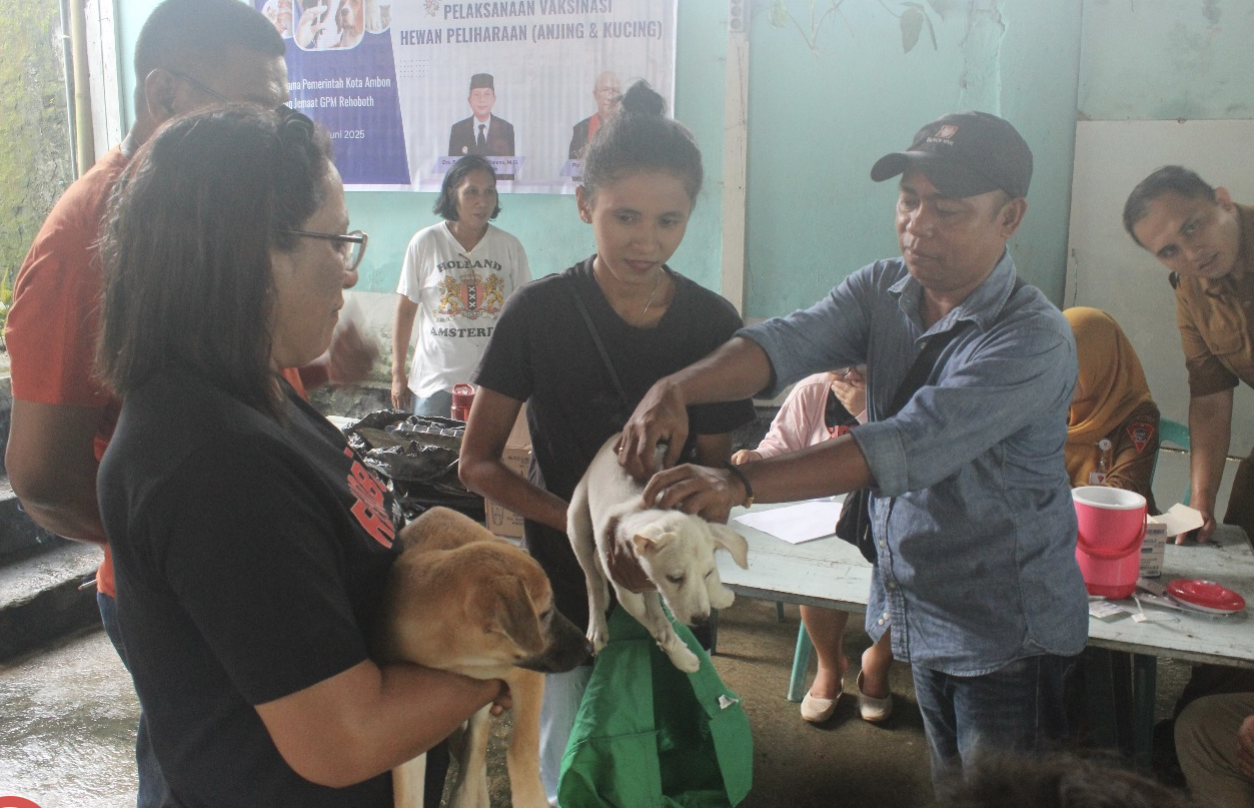 Cegah Penyebaran Rabies, 503 Hewan Di Vaksin Berkat Kerjasama Seksi POS     PHBG Jemaat GPM Rehoboth Bersama Pemkot