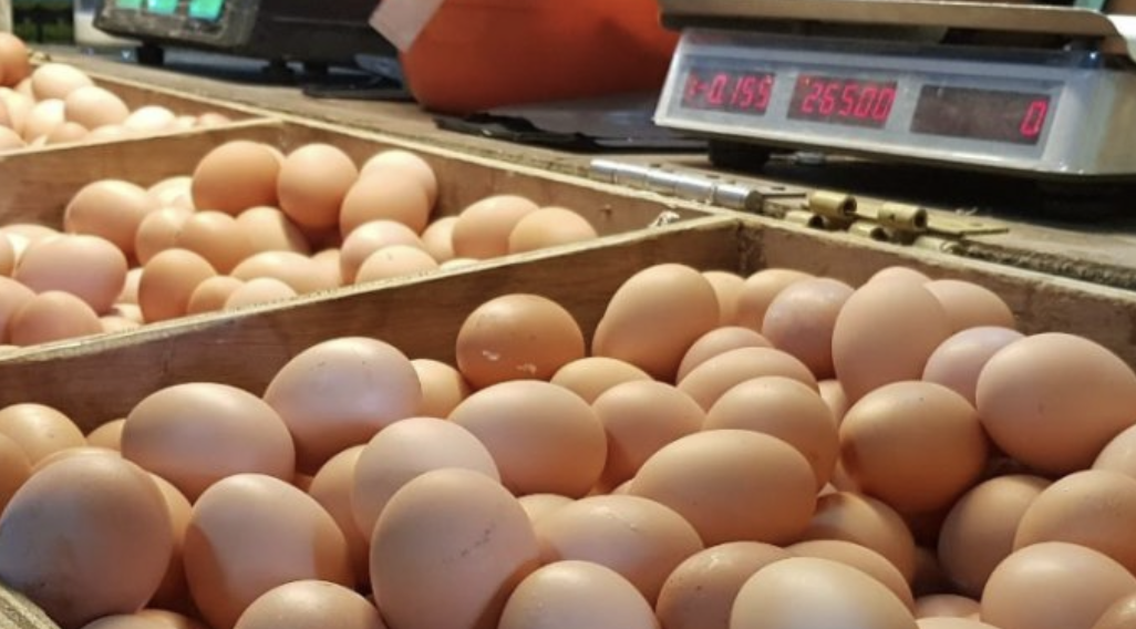 Asosiasi dan Peternak Apresiasi Langkah Kementan Stabilkan Harga Telur